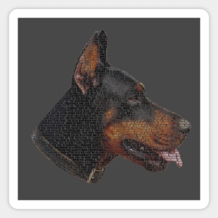 Doberman Info Graphic Magnet